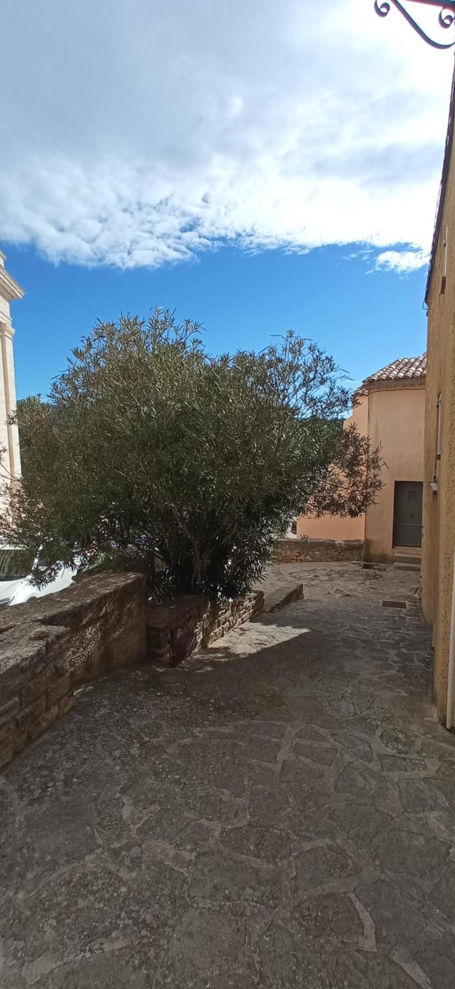 Studio Tout Confort En Provence Mont Ventoux. Bédoin Exteriör bild