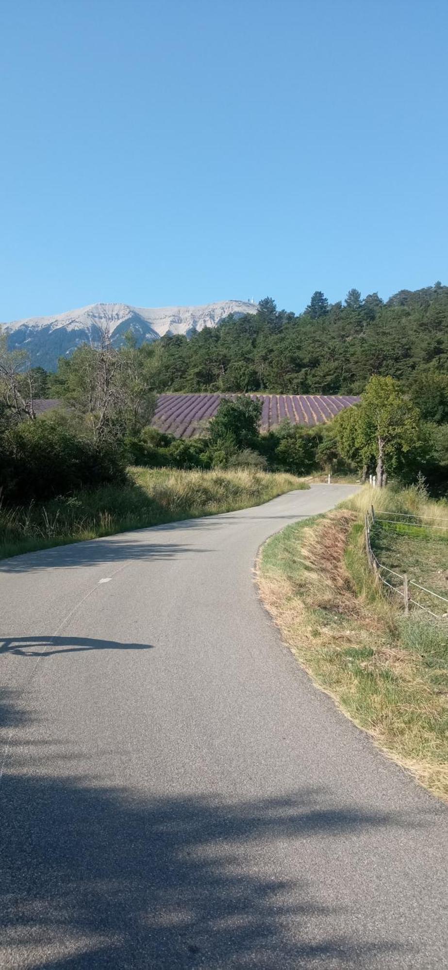 Studio Tout Confort En Provence Mont Ventoux. Bédoin Exteriör bild