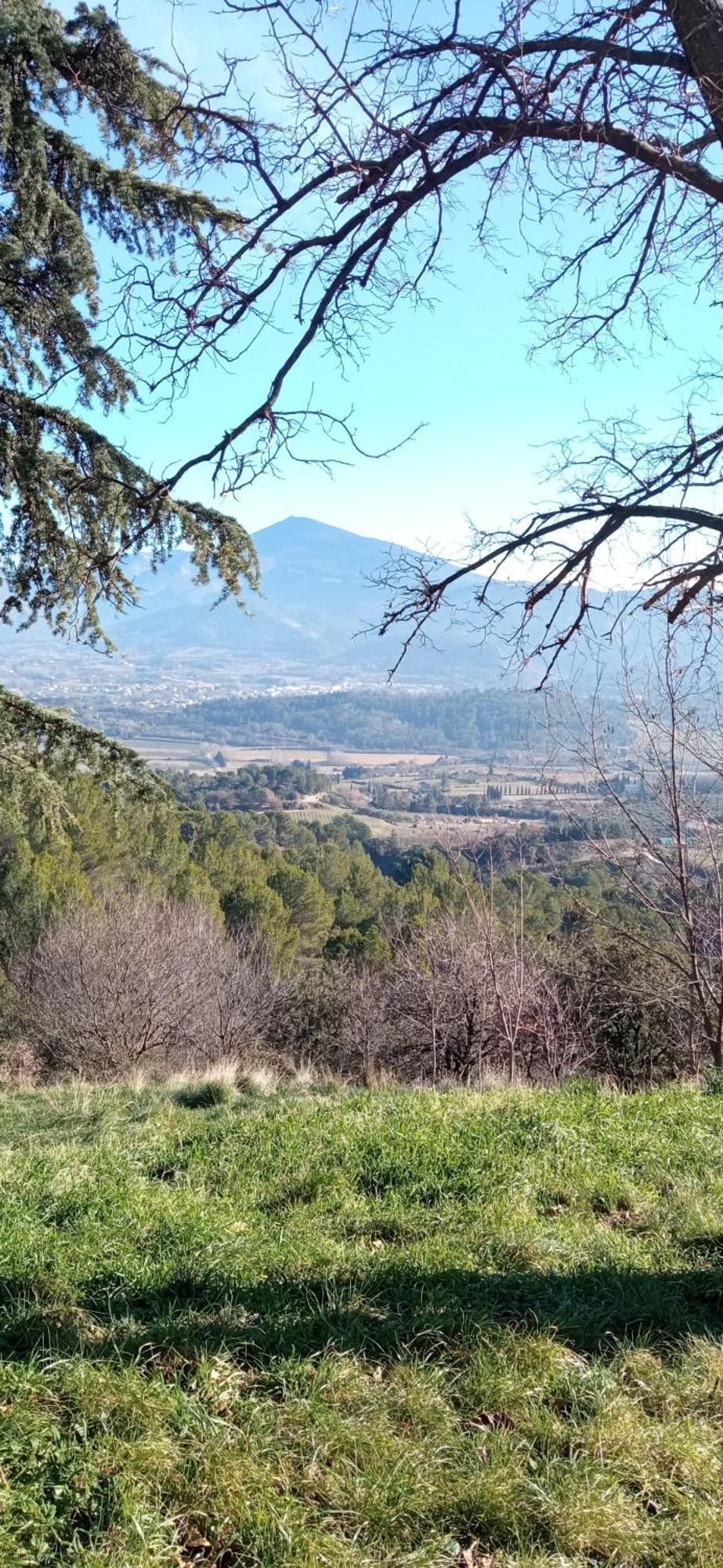 Studio Tout Confort En Provence Mont Ventoux. Bédoin Exteriör bild