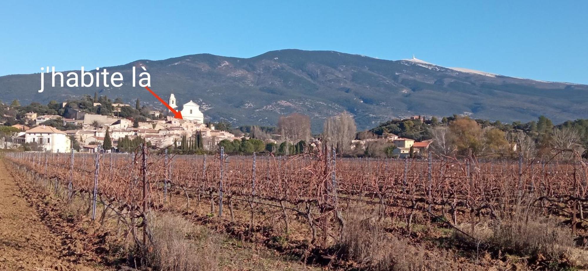 Studio Tout Confort En Provence Mont Ventoux. Bédoin Exteriör bild